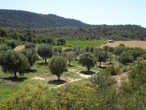 Finca in Maella (Aragon, Spanje) - 0803, Immo, Buitenland, Spanje, Overige soorten, Landelijk