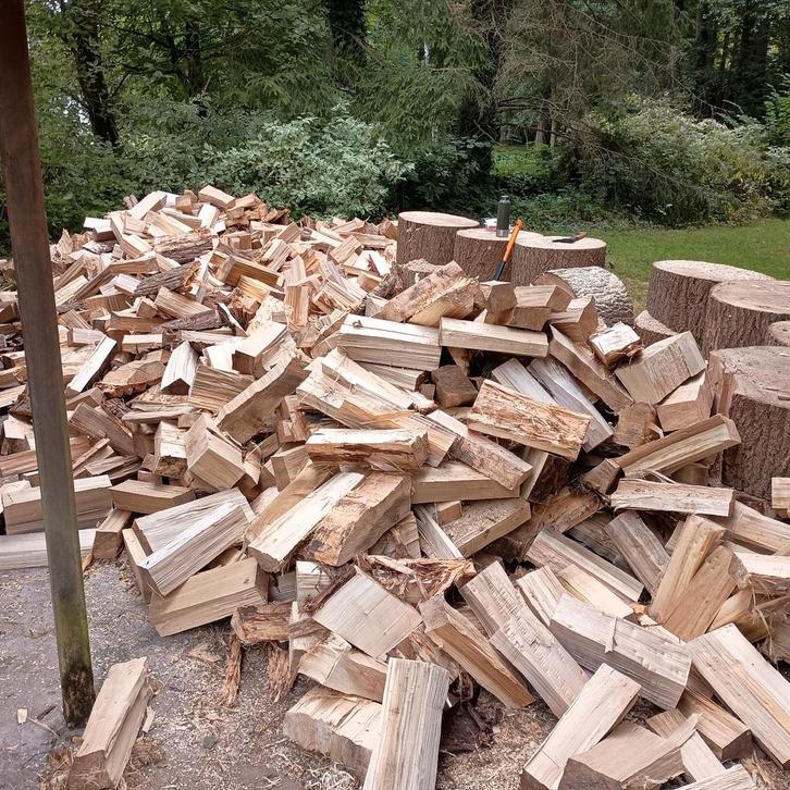 Populierenhout peuplier 1,8m³ gestapeld empilé, Tuin en Terras, Brandhout, Blokken, Overige houtsoorten, 6 m³ of meer, Verzenden