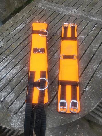 Oranje longeersingel full beschikbaar voor biedingen