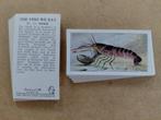 The Fish We Eat complete set 25 chromos vissen 1954, Verzamelen, Foto's en Prenten, Ophalen of Verzenden, 1940 tot 1960, Dier