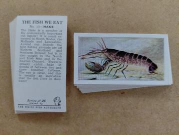 The Fish We Eat complete set 25 chromos vissen 1954 beschikbaar voor biedingen
