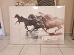 Groot canvas met paarden, Huis en Inrichting, Woonaccessoires | Schilderijen, Tekeningen en Foto's, Nieuw, Ophalen of Verzenden