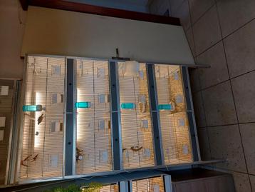 Pvc kweekkooien  beschikbaar voor biedingen