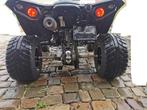Quad Maxxer 300 Landbouw, Motoren, 300 cc, 12 t/m 35 kW