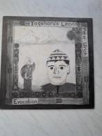Peter Ulrich ‎: Taqaharu's Leaving (12") Dead Can Dance, Cd's en Dvd's, Ophalen of Verzenden