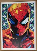Spiderman - LV- Death NYC Ltd Ed gesigneerd A/P pop art, Antiek en Kunst, Kunst | Litho's en Zeefdrukken, Ophalen of Verzenden