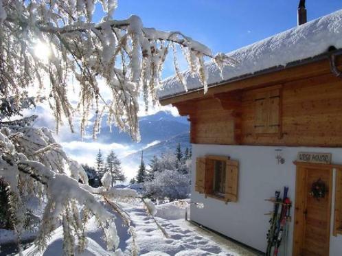 Vrijstaand Chalet in Zwitserland te huur, 6p. 3 slk. 2badk., Vacances, Maisons de vacances | Suisse, Chalet, Bungalow ou Caravane