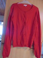 Rode gilé 176, Kinderen en Baby's, Kinderkleding | Maat 176, Ophalen of Verzenden, Zo goed als nieuw, Meisje, Trui of Vest
