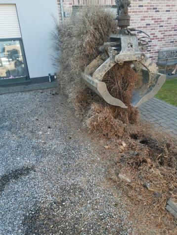 Afbraakwerken, Tuinwerken, hagen en bomen verwijderen....... beschikbaar voor biedingen