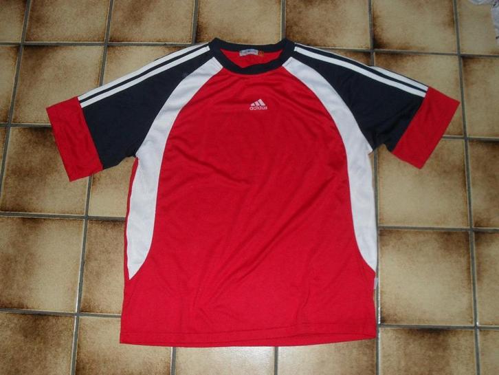 Heren t-shirt, Kleding | Heren, T-shirts, Gedragen, Overige maten, Overige kleuren, Ophalen