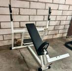 TECHNOGYM ISOTONIC BANK EN PRIJS PER STUK, Enlèvement, Comme neuf