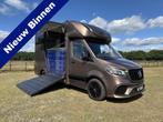 Mercedes-Benz Sprinter 319 AMG 2-paards paardenvrachtwagen B, Gebruikt, Overige typen