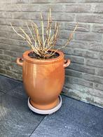 Zeempot, Tuin en Terras, Ophalen, Zo goed als nieuw