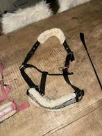 Halsters voor D-pony, nieuw 15eur per stuk, Dieren en Toebehoren, Ophalen, Zo goed als nieuw