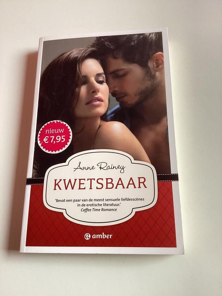 Anne Rainey - Kwetsbaar, Boeken, Romans, Zo goed als nieuw, Ophalen of Verzenden