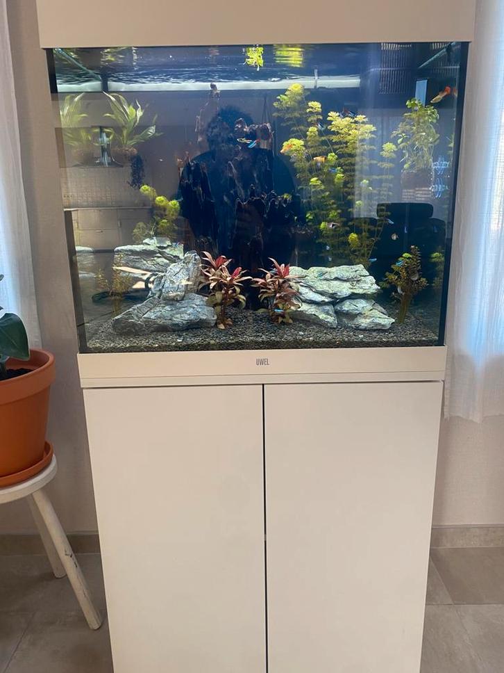 Aquariums Juwel lido 200 + lido 120 alles erbij, Dieren en Toebehoren, Vissen | Aquaria en Toebehoren, Zo goed als nieuw, Ophalen