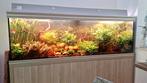Aquarium aquatlantis de +-800L brut (200*58*70cm), Dieren en Toebehoren, Ophalen, Gebruikt, Gevuld zoetwateraquarium