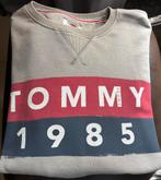 Tommy Hilfinger trui, Kleding | Heren, Truien en Vesten, Ophalen of Verzenden, Zo goed als nieuw