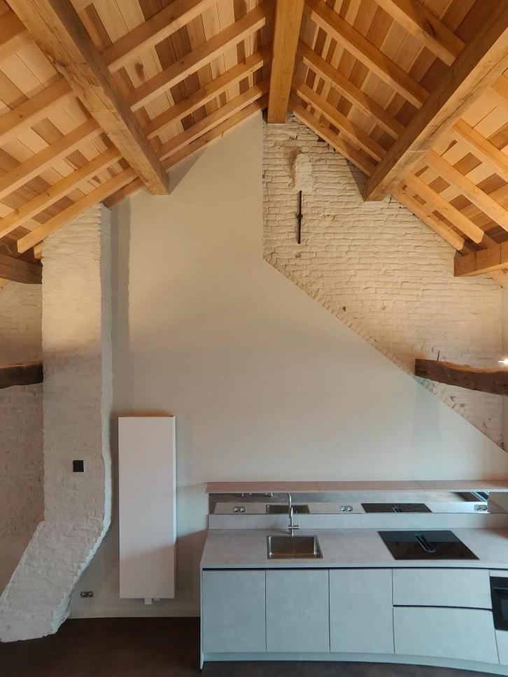 2 Unieke Appartement Te Huur In Maaseik Centrum, Immo, Appartementen en Studio's te huur, Provincie Limburg, 50 m² of meer