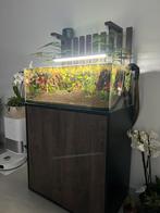 Aquarium aqualantis shallow 80 108liter, Dieren en Toebehoren, Vissen | Aquaria en Toebehoren, Ophalen, Gebruikt, Leeg aquarium