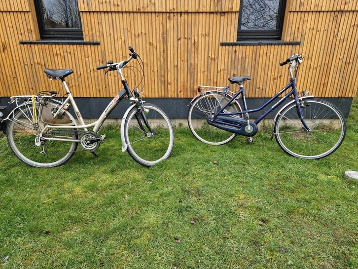 Batavus, Fietsen en Brommers, Fietsen | Dames | Damesfietsen, Gebruikt, Batavus, Ophalen