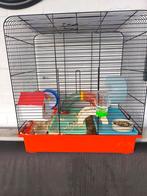 Super tamme dwerghamster met kooi en toebehoren, Dieren en Toebehoren, Ophalen, Kooi