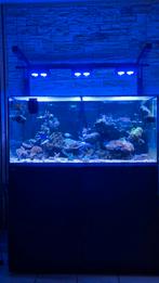 Aquarium red sea équipé, Dieren en Toebehoren, Ophalen, Zo goed als nieuw, Leeg aquarium