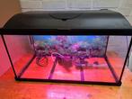 Aquarium 50l, Ophalen, Gebruikt, Leeg aquarium