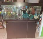 Aquarium juwel, filter jbl e902, verwarming, stenen., Ophalen, Leeg aquarium