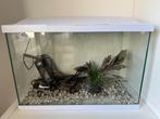 Aquarium, Ophalen, Gebruikt, Leeg aquarium