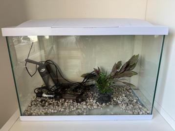 Aquarium beschikbaar voor biedingen
