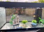 Juwel aquarium 160l, Dieren en Toebehoren, Ophalen, Gebruikt