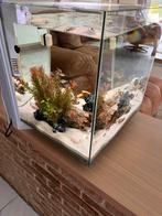 Aquarium qubic 60 pro, Ophalen, Zo goed als nieuw