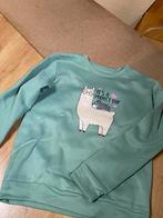 3 leuke truien, Vêtements | Femmes, Pulls & Gilets, Enlèvement, Comme neuf