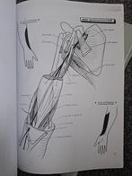 Feuillets d'anatomie, Boeken, Studieboeken en Cursussen, Ophalen of Verzenden, Gelezen, Hoger Onderwijs, Brison et Castaing