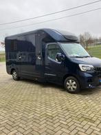 Goed onderhouden Renault STX, hengsten uitvoering, Dieren en Toebehoren, Paarden en Pony's | Trailers en Aanhangwagens, Ophalen