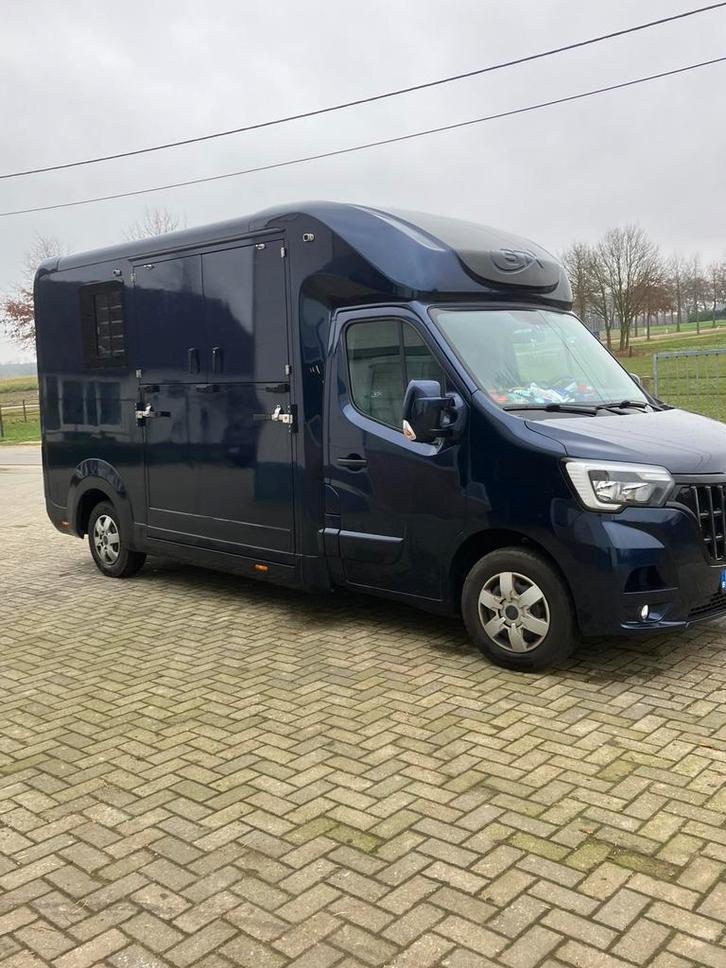 Goed onderhouden Renault STX, hengsten uitvoering, automaat, Animaux & Accessoires, Chevaux & Poneys | Semi-remorques & Remorques