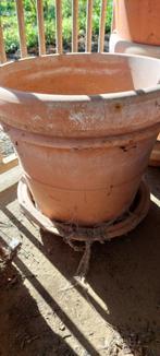 Cachepot, Gebruikt, Rond, Tuin, Terracotta