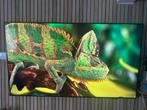 Smart TV SAMSUNG Crystal UHD 75’’, Audio, Tv en Foto, Televisies, Ophalen, 50 Hz, OLED, Zo goed als nieuw