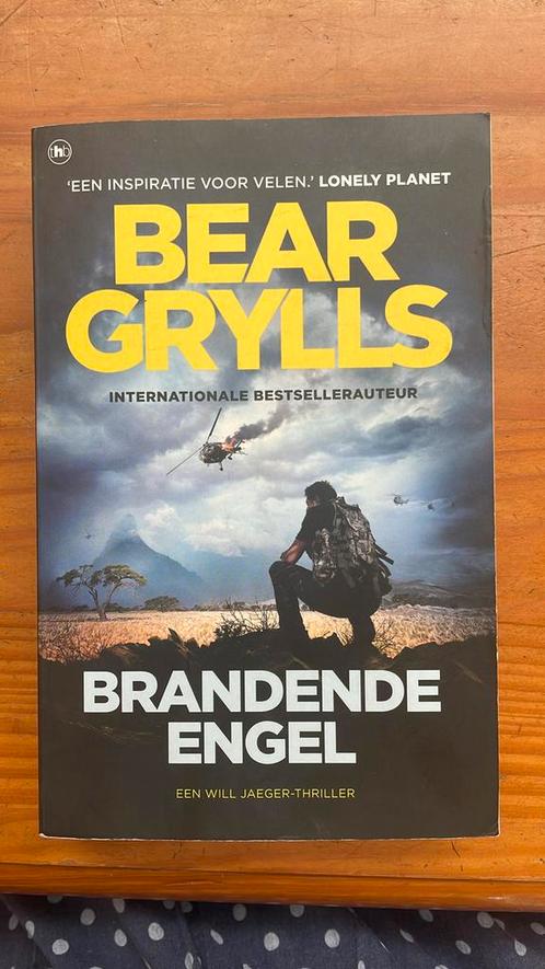 Bear Grylls - Brandende engel, Boeken, Thrillers, Gelezen, Ophalen of Verzenden