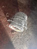 Rol prikdraad, Enlèvement, Utilisé, Fil fer barbelé