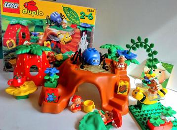 Lego Duplo 2834 Kleine vrienden van het Boshuis van Cotonouw beschikbaar voor biedingen