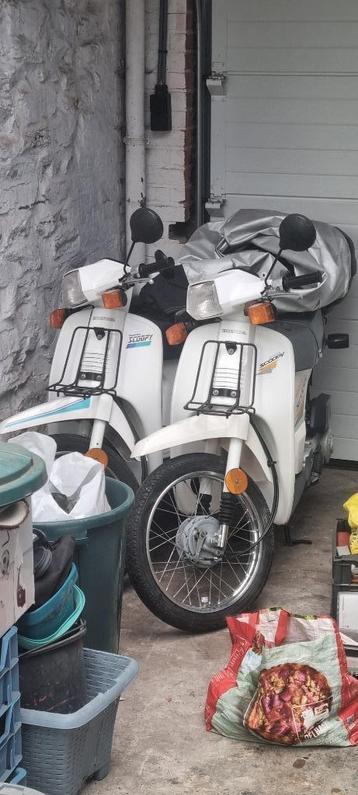 Honda scoopy  disponible aux enchères