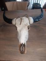 Schedel longhorn, Ophalen