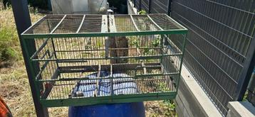 Ancienne cage a oiseau en bois  beschikbaar voor biedingen