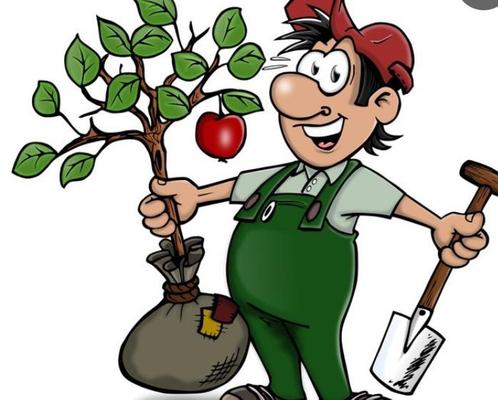 TUINMAN-GENT, Vacatures, Profielen | Man/Vrouw zoekt werk