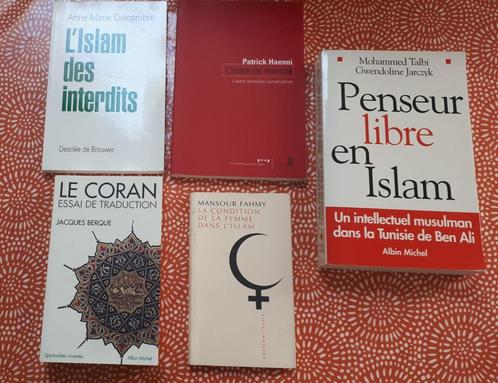 5 livres français sur l'Islam, liste + prix dans l'annonce, Livres, Religion & Théologie, Comme neuf, Islam, Enlèvement ou Envoi