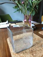 Glazen plantenpot, Ophalen of Verzenden, Gebruikt, Glas