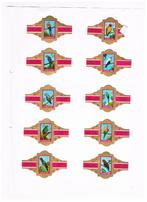 SIGARENBANDEN, Verzamelen, Verzenden, Nieuw, Sigarenbandjes