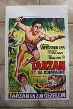 filmaffiche Tarzan and his Mate filmposter, Collections, Posters & Affiches, Comme neuf, Cinéma et TV, Enlèvement ou Envoi, Rectangulaire vertical